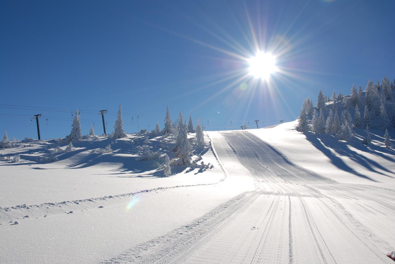 Oberwarthlodge Schladming Luaran gambar